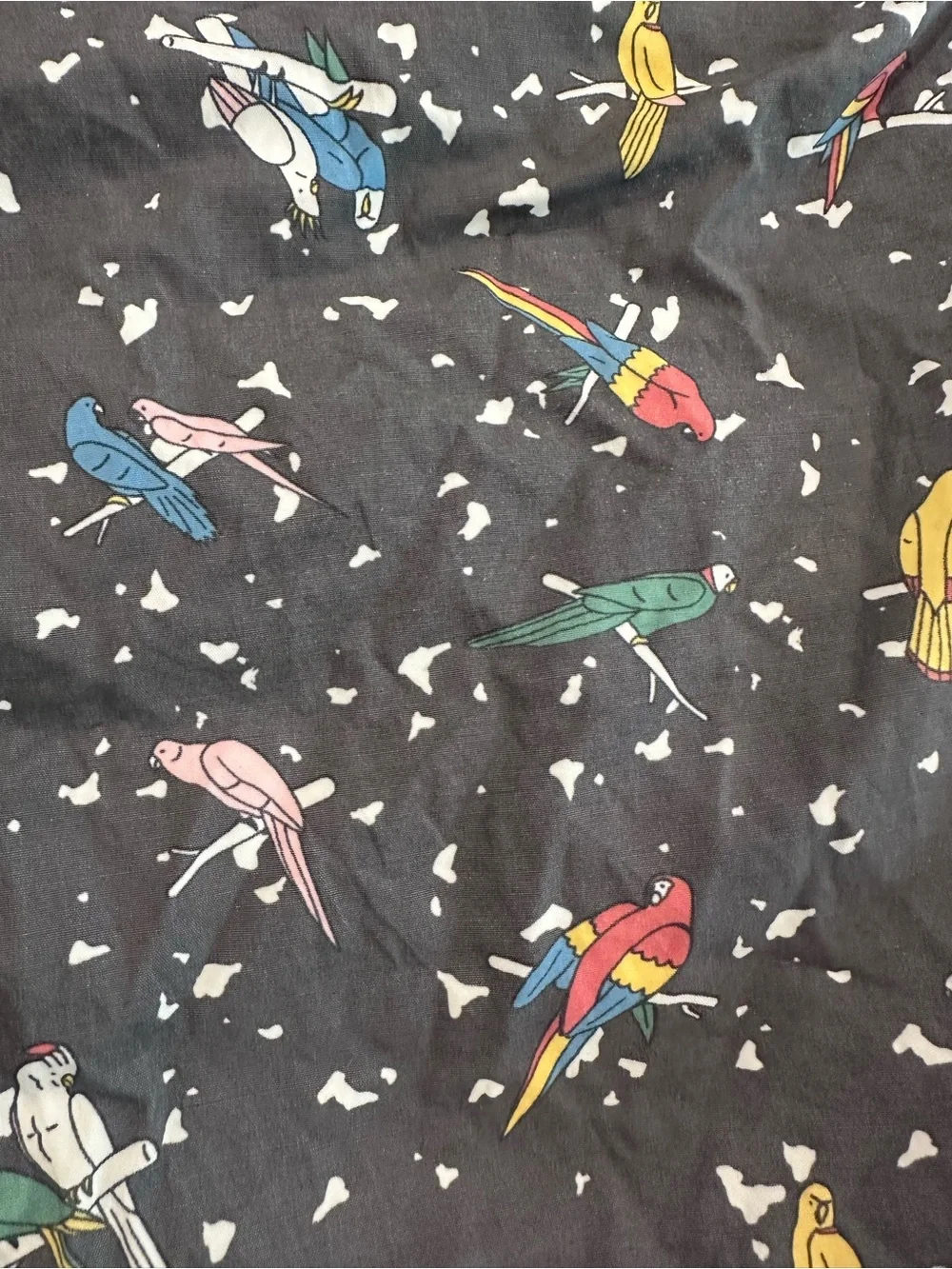 RVCA Charcoal Swim Shorts with Multicolor Parrot Print
